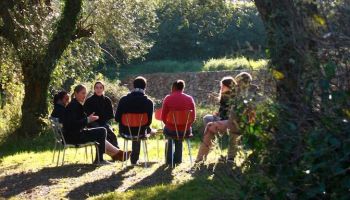 people sitting on bench under green trees during daytime